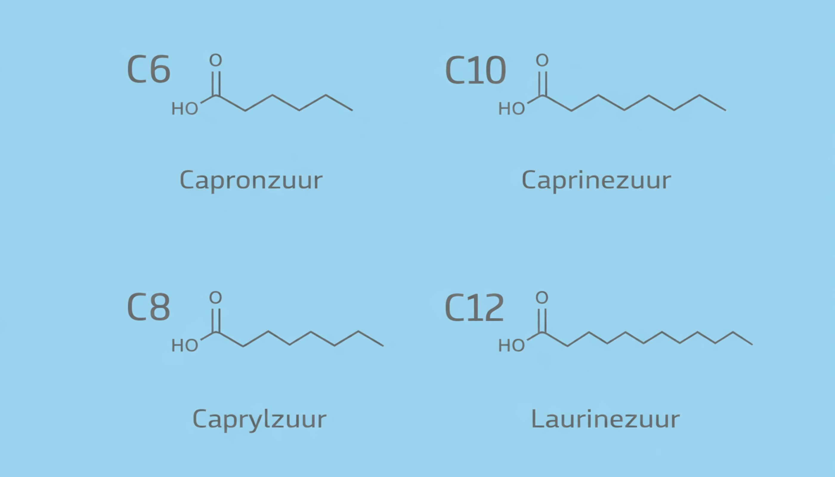 verschil tussen C6 C8 C10 en C12 MCT vetzuren - foodie.nl