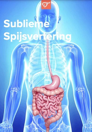 Gratis e-book over een gezonde spijsvertering