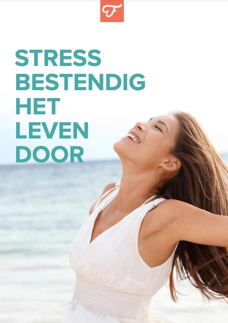 Gratis e-book Stressbestendig het leven door
