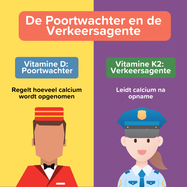 Vitamine K2 en D Vitamine K2 en D