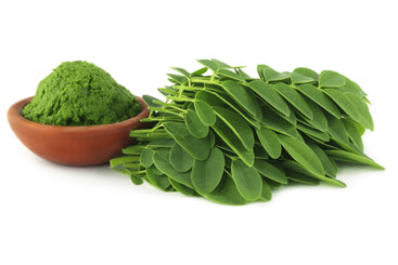 moringa