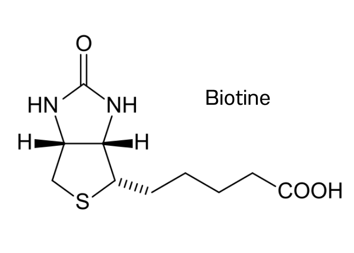 Biotinemolecuul.png